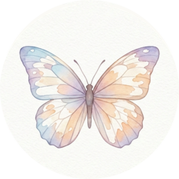 蝶のイラスト